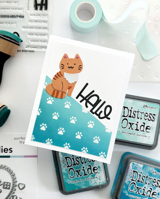 Hello Cat Greeting Card