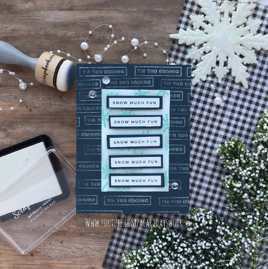 Snow Much Fun Greeting Card